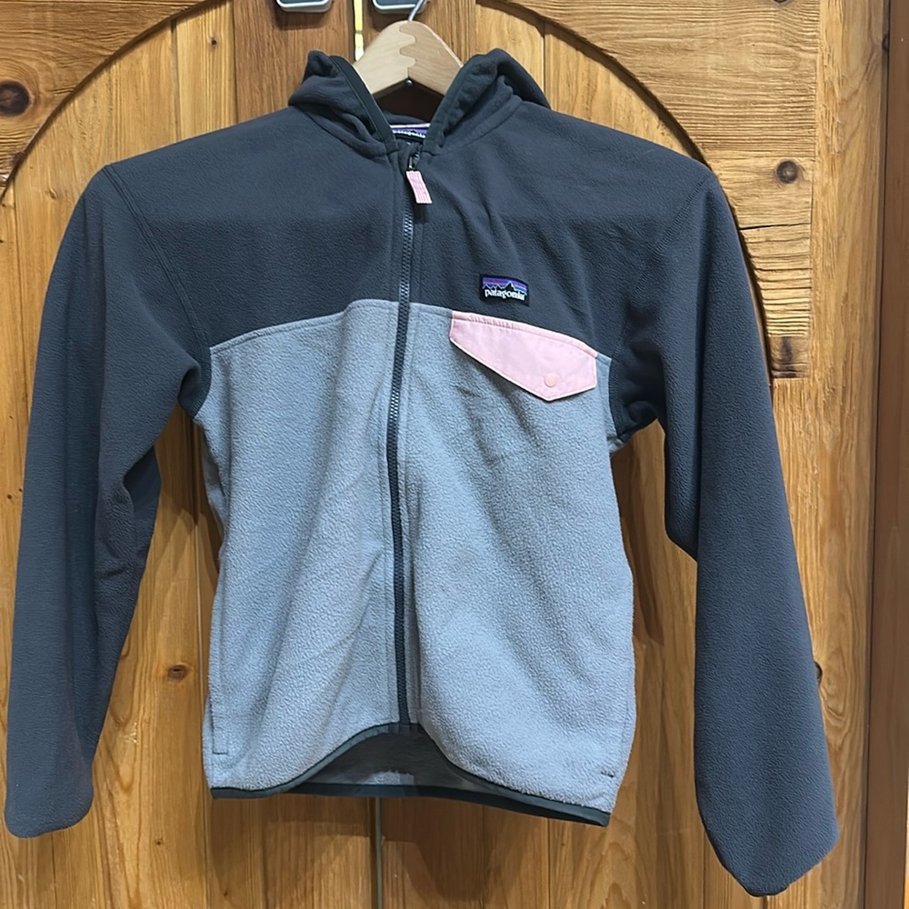 Patagonia Micro D Snap-T Fleece